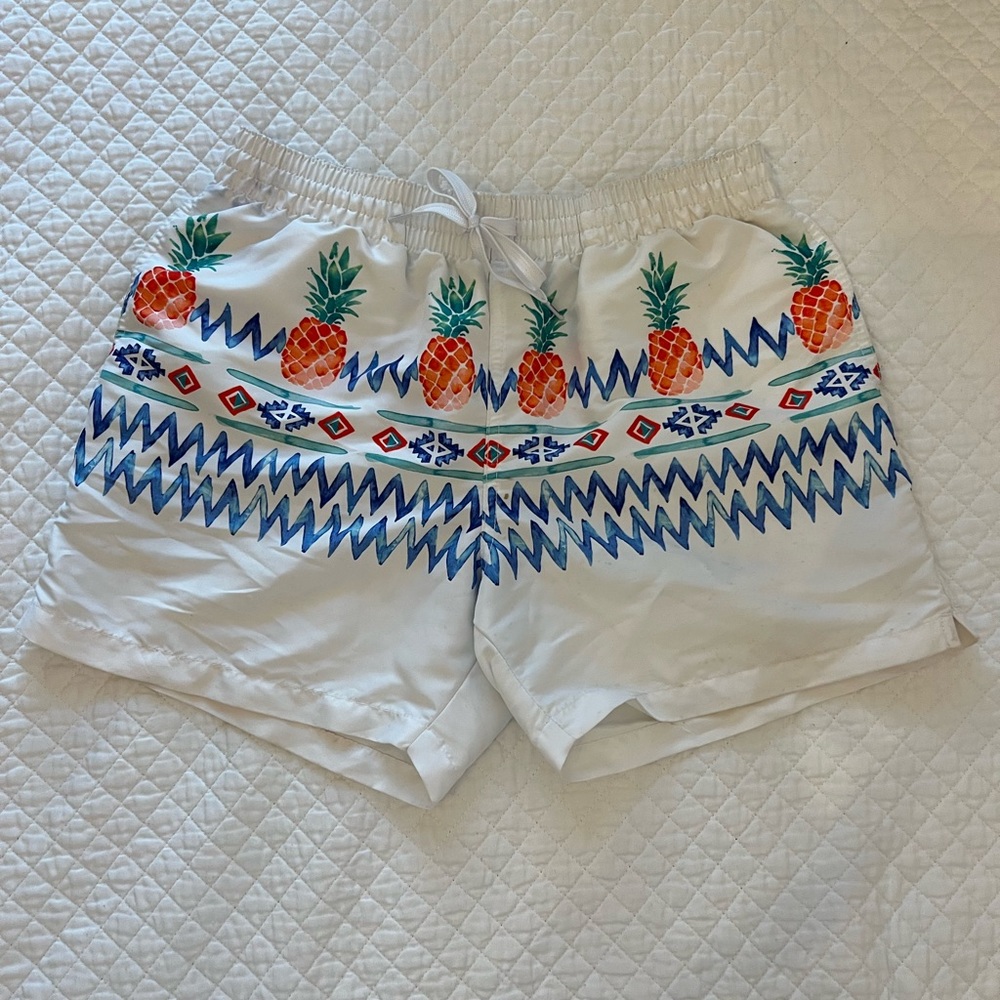 Chubbies Swim Trunks